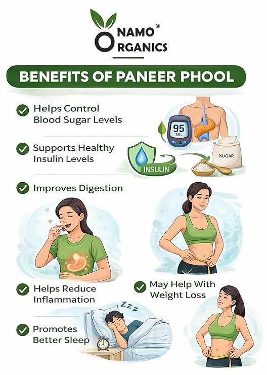 Namo Organics Paneer Dodi Herbal Product